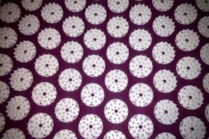 Lire la suite à propos de l’article Tapis d’acupression (Champ de Fleurs) : C’est quoi ?