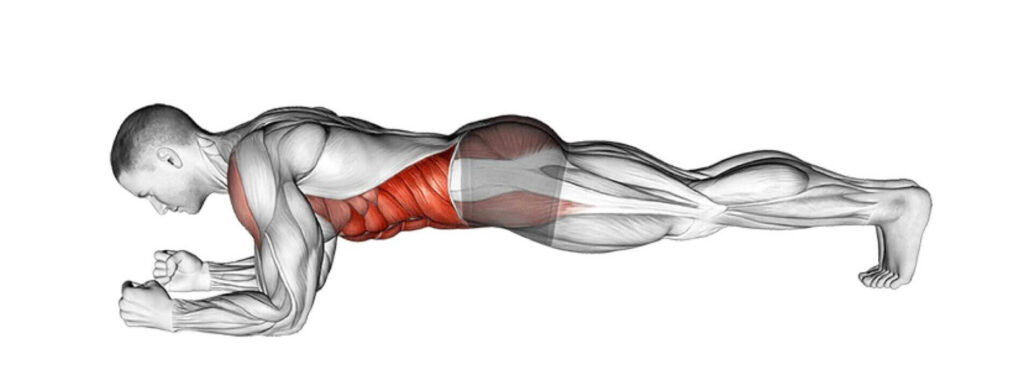 Gainage droit conseil Ostéopathe